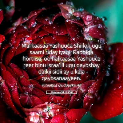 Picture 05 - Yashuuca 18:10 SOM - Markaasaa Yashuuca Shiiloh ugu saami riday iyagii - Bible Verse Picture
