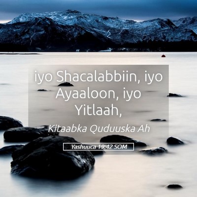Picture 05 - Yashuuca 19:42 SOM - iyo Shacalabbiin, iyo Ayaaloon, iyo - Bible Verse Picture
