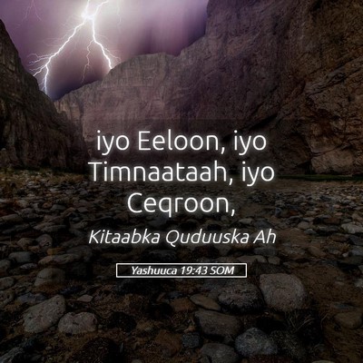 Picture 05 - Yashuuca 19:43 SOM - iyo Eeloon, iyo Timnaataah, iyo - Bible Verse Picture