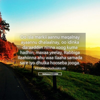 Picture 05 - Yashuuca 2:11 SOM - Oo isla markii aannu maqalnay ayaannu dhalaalnay, - Bible Verse Picture