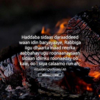 Picture 05 - Yashuuca 2:12 SOM - Haddaba sidaas daraaddeed waan idin baryayaaye, - Bible Verse Picture