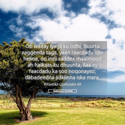 Picture 05 - Yashuuca 2:16 SOM - Oo waxay iyagii ku tidhi, Buurta xaggeeda taga, - Bible Verse Picture