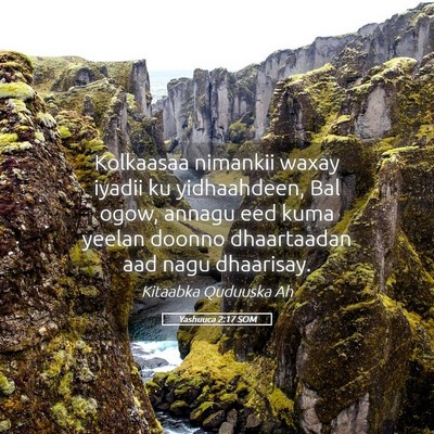 Picture 05 - Yashuuca 2:17 SOM - Kolkaasaa nimankii waxay iyadii ku yidhaahdeen, - Bible Verse Picture