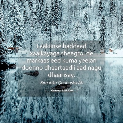 Picture 05 - Yashuuca 2:20 SOM - Laakiinse haddaad xaalkayaga sheegto, de markaas - Bible Verse Picture