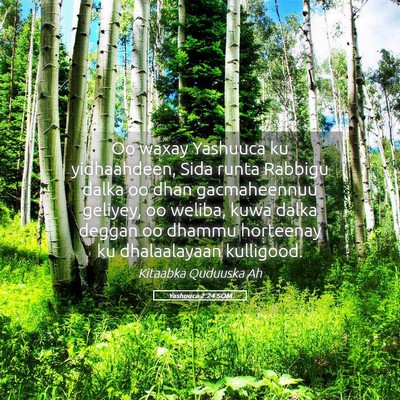 Picture 05 - Yashuuca 2:24 SOM - Oo waxay Yashuuca ku yidhaahdeen, Sida runta - Bible Verse Picture