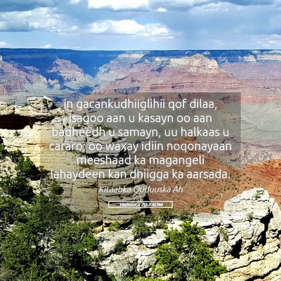 Picture 05 - Yashuuca 20:3 SOM - in gacankudhiiglihii qof dilaa, isagoo aan u - Bible Verse Picture
