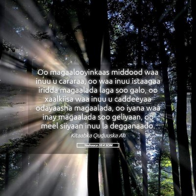 Picture 05 - Yashuuca 20:4 SOM - Oo magaalooyinkaas middood waa inuu u cararaa, oo - Bible Verse Picture