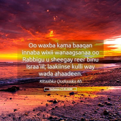 Picture 05 - Yashuuca 21:45 SOM - Oo waxba kama baaqan innaba wixii wanaagsanaa oo - Bible Verse Picture