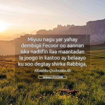 Picture 05 - Yashuuca 22:17 SOM - Miyuu nagu yar yahay dembigii Fecoor oo aannan - Bible Verse Picture