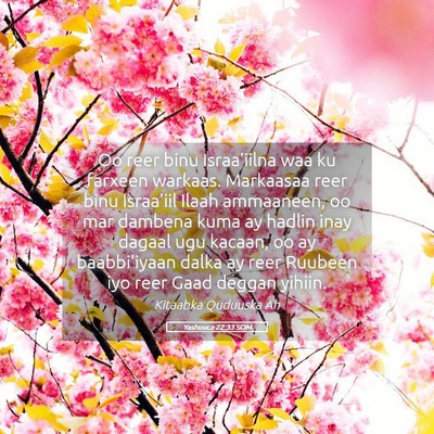 Picture 05 - Yashuuca 22:33 SOM - Oo reer binu Israa'iilna waa ku farxeen warkaas. - Bible Verse Picture