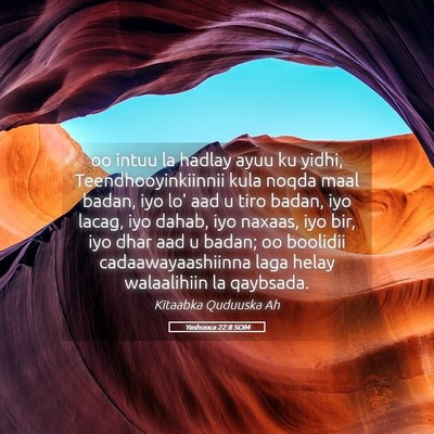 Picture 05 - Yashuuca 22:8 SOM - oo intuu la hadlay ayuu ku yidhi, - Bible Verse Picture