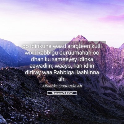 Picture 05 - Yashuuca 23:3 SOM - oo idinkuna waad aragteen kulli wixii Rabbigu - Bible Verse Picture