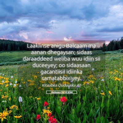 Picture 05 - Yashuuca 24:10 SOM - Laakiinse anigu Balcaam ma aanan dhegaysan; - Bible Verse Picture