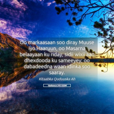 Picture 05 - Yashuuca 24:5 SOM - Oo markaasaan soo diray Muuse iyo Haaruun, oo - Bible Verse Picture
