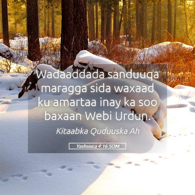 Picture 05 - Yashuuca 4:16 SOM - Wadaaddada sanduuqa maragga sida waxaad ku - Bible Verse Picture