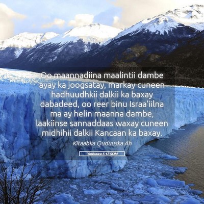 Picture 05 - Yashuuca 5:12 SOM - Oo maannadiina maalintii dambe ayay ka joogsatay, - Bible Verse Picture
