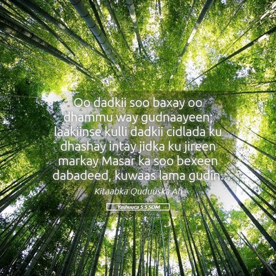 Picture 05 - Yashuuca 5:5 SOM - Oo dadkii soo baxay oo dhammu way gudnaayeen; - Bible Verse Picture