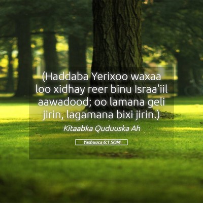 Picture 05 - Yashuuca 6:1 SOM - (Haddaba Yerixoo waxaa loo xidhay reer binu - Bible Verse Picture