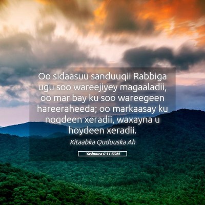 Picture 05 - Yashuuca 6:11 SOM - Oo sidaasuu sanduuqii Rabbiga ugu soo wareejiyey - Bible Verse Picture
