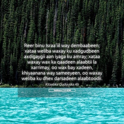 Picture 05 - Yashuuca 7:11 SOM - Reer binu Israa'iil way dembaabeen; xataa weliba - Bible Verse Picture