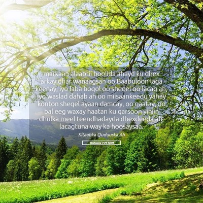 Picture 05 - Yashuuca 7:21 SOM - markaan alaabtii boolida ahayd ku dhex arkay dhar - Bible Verse Picture