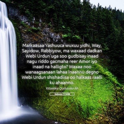 Picture 05 - Yashuuca 7:7 SOM - Markaasaa Yashuuca wuxuu yidhi, Way, Sayidow, - Bible Verse Picture