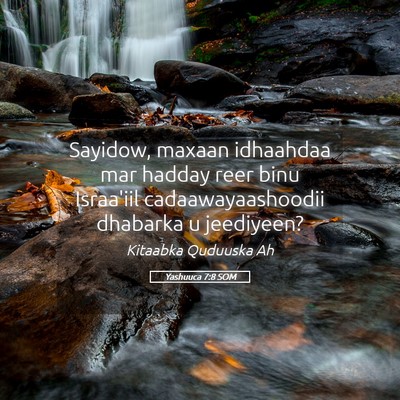 Picture 05 - Yashuuca 7:8 SOM - Sayidow, maxaan idhaahdaa mar hadday reer binu - Bible Verse Picture