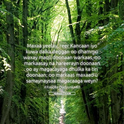 Picture 05 - Yashuuca 7:9 SOM - Maxaa yeelay, reer Kancaan iyo kuwa dalka deggan - Bible Verse Picture