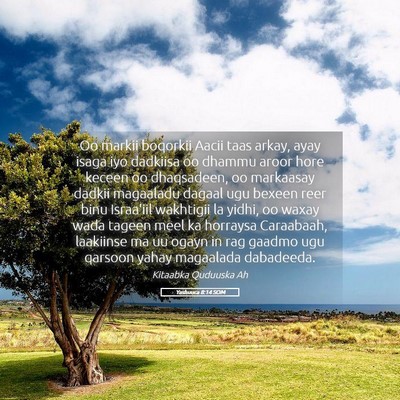 Picture 05 - Yashuuca 8:14 SOM - Oo markii boqorkii Aacii taas arkay, ayay isaga - Bible Verse Picture