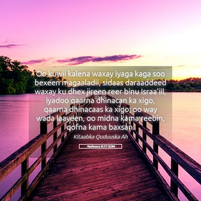 Picture 05 - Yashuuca 8:22 SOM - Oo kuwii kalena waxay iyaga kaga soo bexeen - Bible Verse Picture