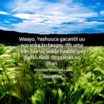 Picture 05 - Yashuuca 8:26 SOM - Waayo, Yashuuca gacantii uu waranka ku taagay dib - Bible Verse Picture