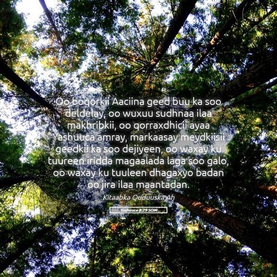 Picture 05 - Yashuuca 8:29 SOM - Oo boqorkii Aaciina geed buu ka soo deldelay, oo - Bible Verse Picture
