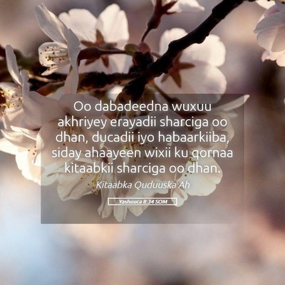 Picture 05 - Yashuuca 8:34 SOM - Oo dabadeedna wuxuu akhriyey erayadii sharciga oo - Bible Verse Picture