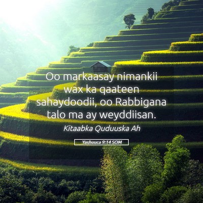 Picture 05 - Yashuuca 9:14 SOM - Oo markaasay nimankii wax ka qaateen sahaydoodii, - Bible Verse Picture