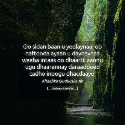 Picture 05 - Yashuuca 9:20 SOM - Oo sidan baan u yeelaynaa, oo naftooda ayaan u - Bible Verse Picture