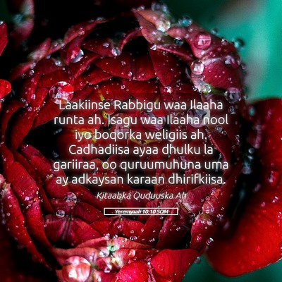 Picture 05 - Yeremyaah 10:10 SOM - Laakiinse Rabbigu waa Ilaaha runta ah. Isagu waa - Bible Verse Picture