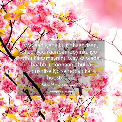 Picture 05 - Yeremyaah 10:11 SOM - Waxaad iyaga ku tidhaahdaan, Ilaahyadii aan - Bible Verse Picture