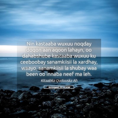 Picture 05 - Yeremyaah 10:14 SOM - Nin kastaaba wuxuu noqday doqon aan aqoon lahayn, - Bible Verse Picture