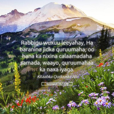 Picture 05 - Yeremyaah 10:2 SOM - Rabbigu wuxuu leeyahay, Ha baranina jidka - Bible Verse Picture