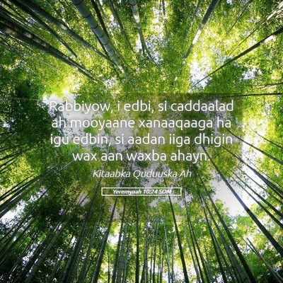 Picture 05 - Yeremyaah 10:24 SOM - Rabbiyow, i edbi, si caddaalad ah mooyaane - Bible Verse Picture