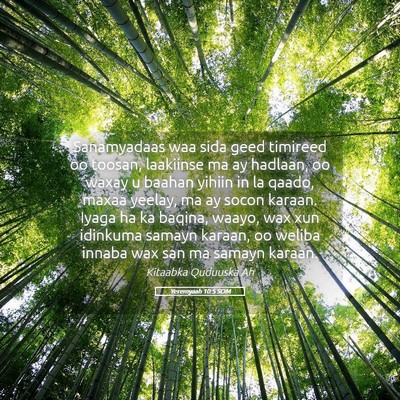 Picture 05 - Yeremyaah 10:5 SOM - Sanamyadaas waa sida geed timireed oo toosan, - Bible Verse Picture