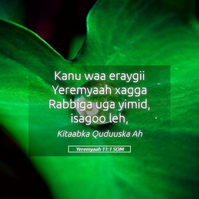 Picture 05 - Yeremyaah 11:1 SOM - Kanu waa eraygii Yeremyaah xagga Rabbiga uga - Bible Verse Picture