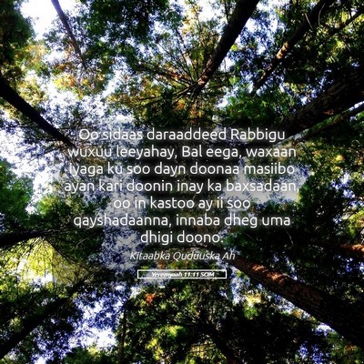 Picture 05 - Yeremyaah 11:11 SOM - Oo sidaas daraaddeed Rabbigu wuxuu leeyahay, Bal - Bible Verse Picture