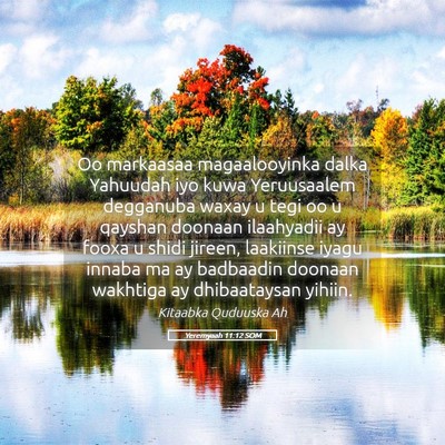 Picture 05 - Yeremyaah 11:12 SOM - Oo markaasaa magaalooyinka dalka Yahuudah iyo - Bible Verse Picture