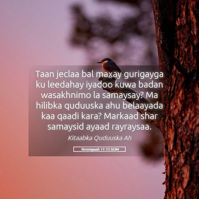 Picture 05 - Yeremyaah 11:15 SOM - Taan jeclaa bal maxay gurigayga ku leedahay - Bible Verse Picture