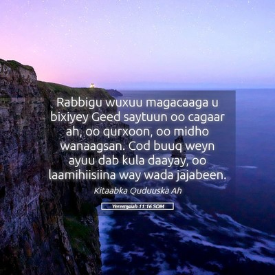 Picture 05 - Yeremyaah 11:16 SOM - Rabbigu wuxuu magacaaga u bixiyey Geed saytuun oo - Bible Verse Picture