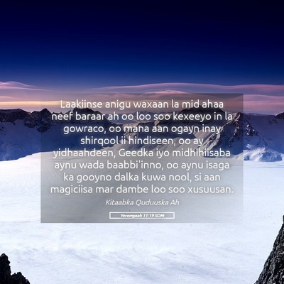 Picture 05 - Yeremyaah 11:19 SOM - Laakiinse anigu waxaan la mid ahaa neef baraar ah - Bible Verse Picture