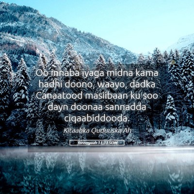 Picture 05 - Yeremyaah 11:23 SOM - Oo innaba iyaga midna kama hadhi doono, waayo, - Bible Verse Picture