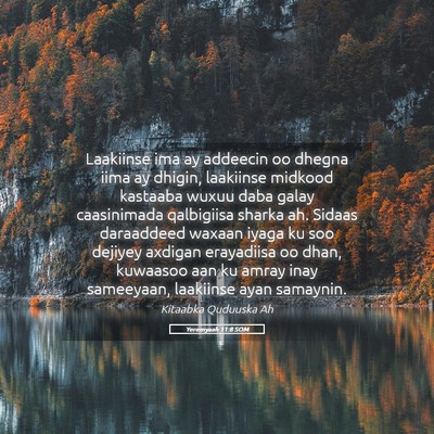 Picture 05 - Yeremyaah 11:8 SOM - Laakiinse ima ay addeecin oo dhegna iima ay - Bible Verse Picture