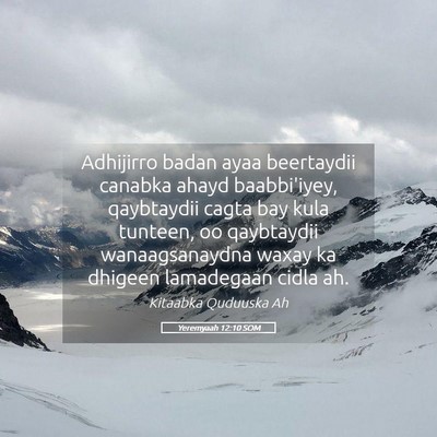 Picture 05 - Yeremyaah 12:10 SOM - Adhijirro badan ayaa beertaydii canabka ahayd - Bible Verse Picture